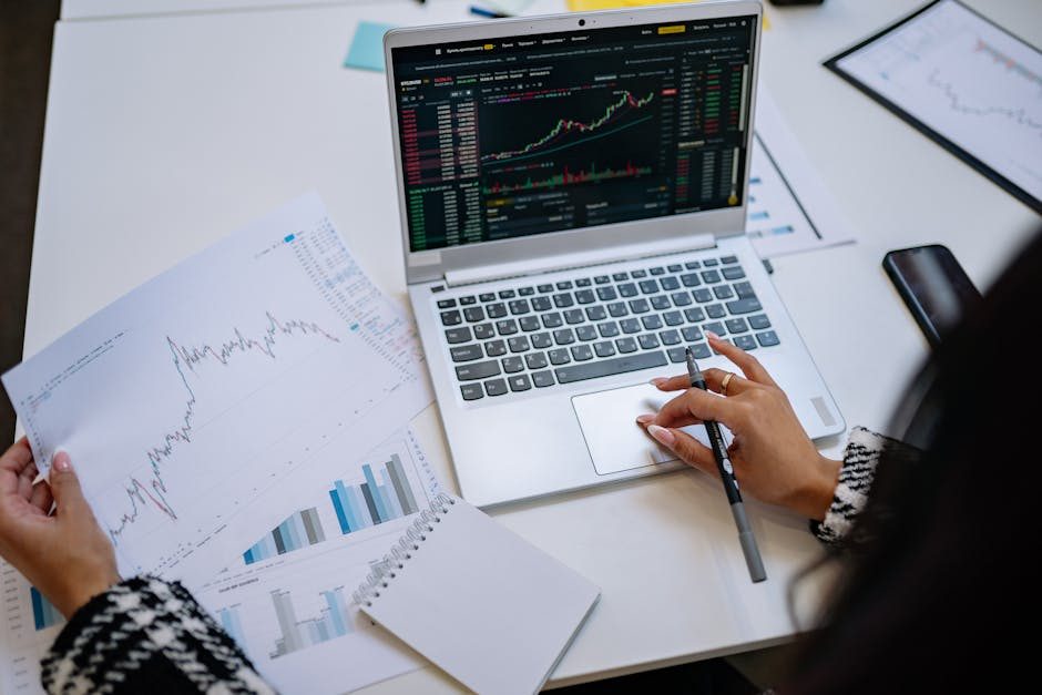 Vorlagen, Webinare und Mentoring für den Transfer